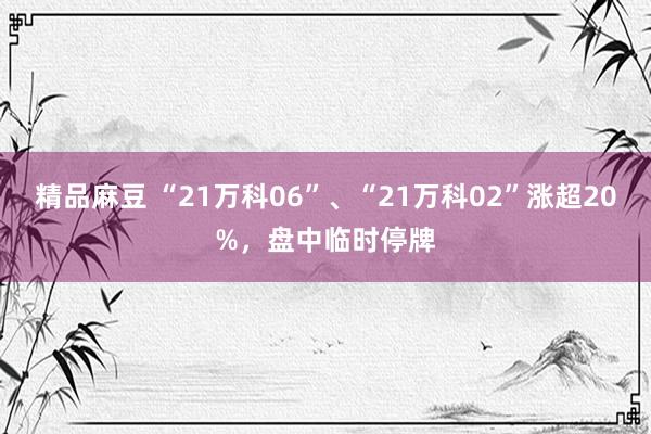 精品麻豆 “21万科06”、“21万科02”涨超20%，盘中临时停牌